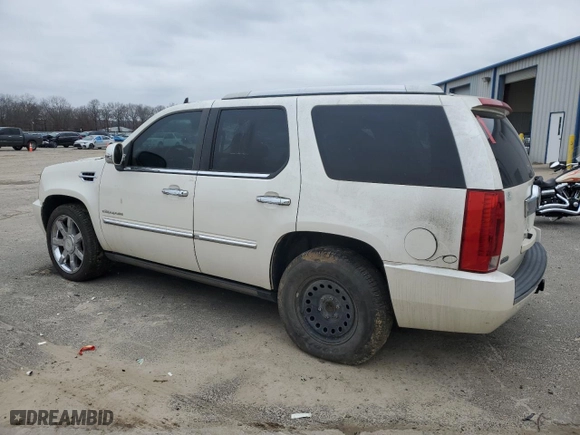 2010 Cadillac Escalade Premium with VIN 1GYUKCEFXAR240142, listed as a Copart auction lot 41531475 with 174,773 mi miles and Clean Title. Bid and sale history available at carsss.com. Image 2.