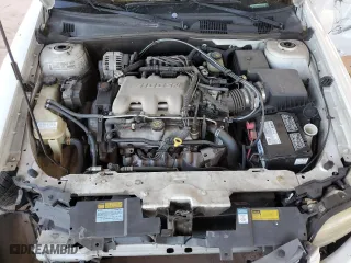 2001 Chevrolet Malibu with VIN 1G1ND52J316269419, listed as a Copart auction lot 76554134 with 0 mi miles and Salvage Title. Bid and sale history available at carsss.com. Image 13.