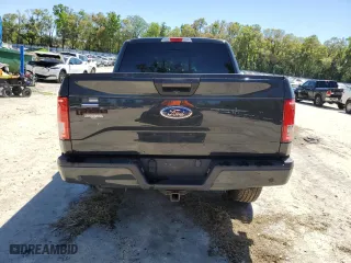 2016 Ford F-150 XLT with VIN 1FTEW1EG0GKD43177, listed as a Copart auction lot 50068195 with 128,565 mi miles and Salvage Title. Bid and sale history available at carsss.com. Image 6.
