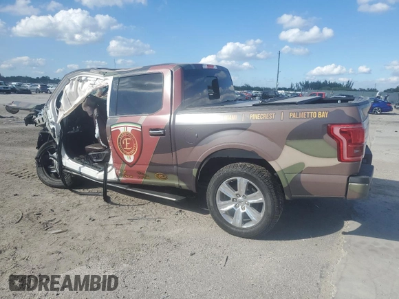 2017 Ford F-150 XL with VIN 1FTEW1EF9HFC50384, listed as a Copart auction lot 85538764 with Not provided miles and Salvage title. Bid and sale history available at DreamBid. Image 2.