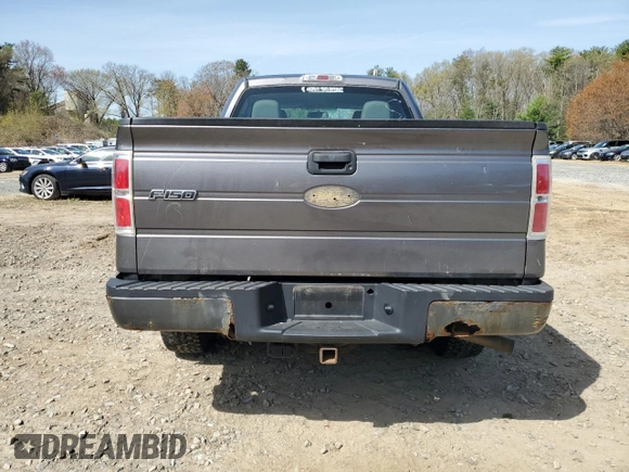 2010 Ford F-150 XL with VIN 1FTEX1EW6AFA56656, listed as a Copart auction lot 54382045 with 144,342 mi miles and Clean Title. Bid and sale history available at carsss.com. Image 6.