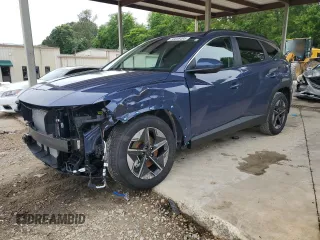 2025 Hyundai Tucson SEL z VIN 5NMJB3DE8SH542181, wystawiony jako Copart lot #56036495 z przebiegiem 261 mil mil oraz Szkoda całkowita • Salvage title. Historia ofert i sprzedaży dostępna na DreamBid. Obrazek 1.