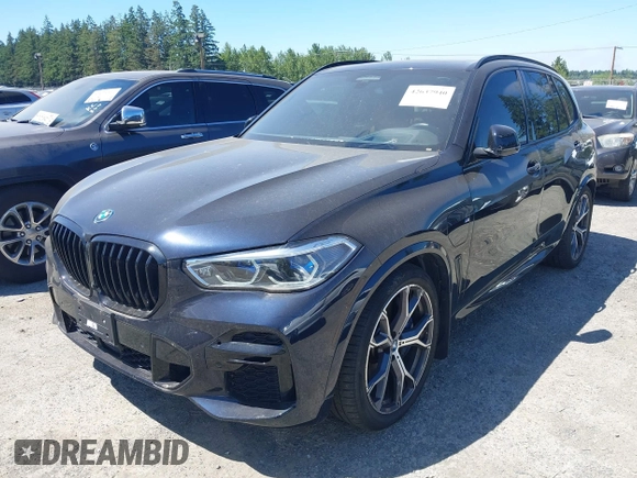 2023 BMW X5 xDrive45e with VIN 5UXTA6C03P9N81846, listed as a IAAI auction lot 42637940 with 17,510 mi miles and . Bid and sale history available at DreamBid. Image 17.