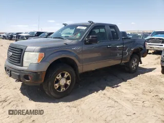 2010 Ford F-150 XL with VIN 1FTEX1E85AKC34713, listed as a Copart auction lot 55962675 with 203,549 mi miles and Salvage title. Bid and sale history available at DreamBid. Image 1.
