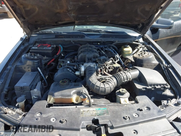 2005 Ford Mustang Deluxe with VIN 1ZVFT84N855209094, listed as a IAAI auction lot 42564618 with 222,713 mi miles and . Bid and sale history available at DreamBid. Image 10.