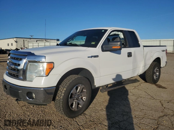 2011 Ford F-150 XL with VIN 1FTEX1EM2BFC98649, listed as a Copart auction lot 61418125 with 146,082 mi miles and Salvage title. Bid and sale history available at DreamBid. Image 1.