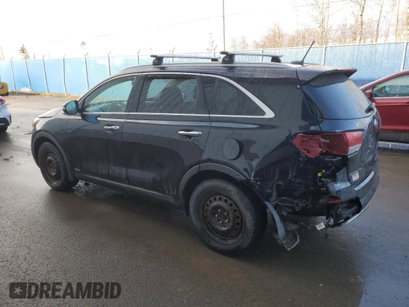 2016 Kia Sorento EX with VIN 5XYPHDA53GG161746, listed as a Copart auction lot 50689665 with 164,157 mi miles and Salvage Title. Bid and sale history available at carsss.com. Image 2.