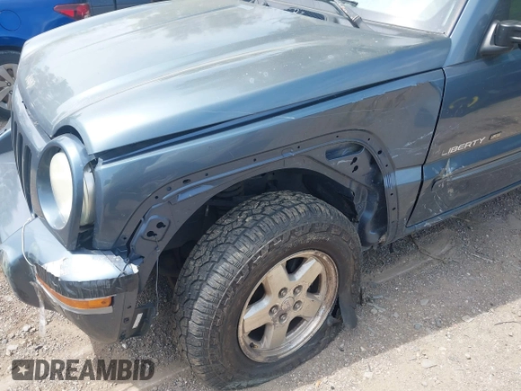 2002 Jeep Liberty Limited z VIN 1J4GL58KX2W339237, wystawiony jako IAAI lot #42284526 z przebiegiem 183 416 mil mil oraz . Historia ofert i sprzedaży dostępna na DreamBid. Obrazek 6.