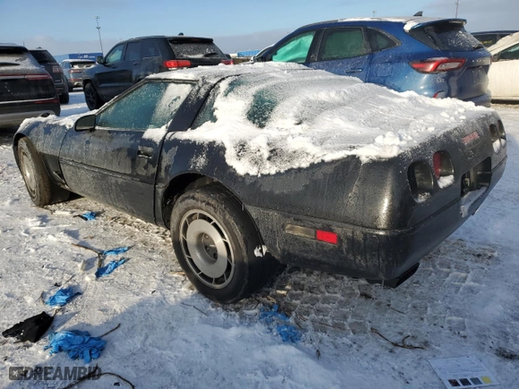 1994 Chevrolet Corvette with VIN 1G1YY22P1R5117578, listed as a Copart auction lot 88750435 with 0 mi miles and Clean Title. Bid and sale history available at carsss.com. Image 2.