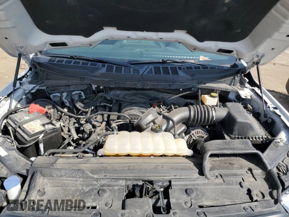 2022 Ford F-150 XL с VIN 1FTFW1E50NFA81251, выставлен на аукционе Copart как лот 49149705 с пробегом 24 241 миль миль и Списание • Salvage title. История ставок и продаж доступна на DreamBid. Изображение 13.