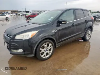 2013 Ford Escape SEL with VIN 1FMCU0HX5DUB30918, listed as a Copart auction lot 55774455 with 219,545 mi miles and Clean Title. Bid and sale history available at carsss.com. Image 1.