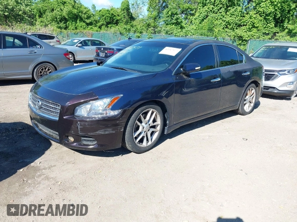 2010 Nissan Maxima 3.5 SV with VIN 1N4AA5AP6AC818249, listed as a IAAI auction lot 42217577 with 178,330 mi miles. Bid and sale history available at carsss.com. Image 2.