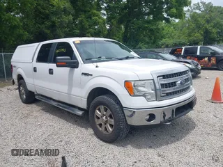 2014 Ford F-150 XL with VIN 1FTFW1EF6EKE20207, listed as a IAAI auction lot 42517445 with 306,608 mi miles and . Bid and sale history available at DreamBid. Image 1.
