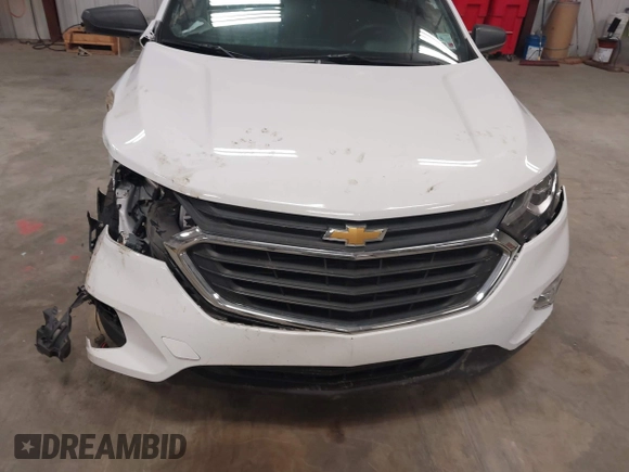 2019 Chevrolet Equinox LS with VIN 2GNAXHEV9K6196119, listed as a IAAI auction lot 41238157 with 83,412 mi miles and . Bid and sale history available at DreamBid. Image 18.