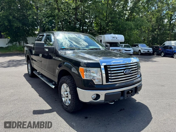 2010 Ford F-150 XL with VIN 1FTFW1EV0AFB73518, listed as a Copart auction lot 62685025 with 125,449 mi miles and Clean title. Bid and sale history available at DreamBid. Image 4.