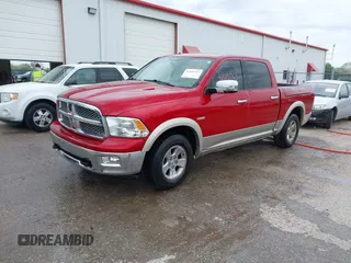 2009 Dodge 1500 SLT with VIN 1D3HV13T99J528876, listed as a IAAI auction lot 42015763 with 237,065 mi miles and . Bid and sale history available at DreamBid. Image 2.