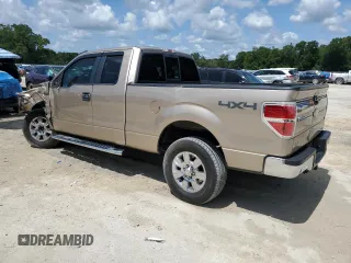 2011 Ford F-150 XL with VIN 1FTEX1EM8BFD20153, listed as a Copart auction lot 60405365 with 239,383 mi miles and Salvage title. Bid and sale history available at DreamBid. Image 2.