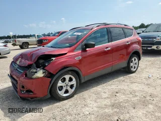 2013 Ford Escape SE with VIN 1FMCU0GX8DUC19576, listed as a Copart auction lot 55707175 with Not provided miles and Salvage title. Bid and sale history available at DreamBid. Image 1.