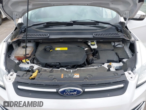 2016 Ford Escape SE with VIN 1FMCU0GX0GUA95789, listed as a IAAI auction lot 41829818 with 84,431 mi miles. Bid and sale history available at carsss.com. Image 10.