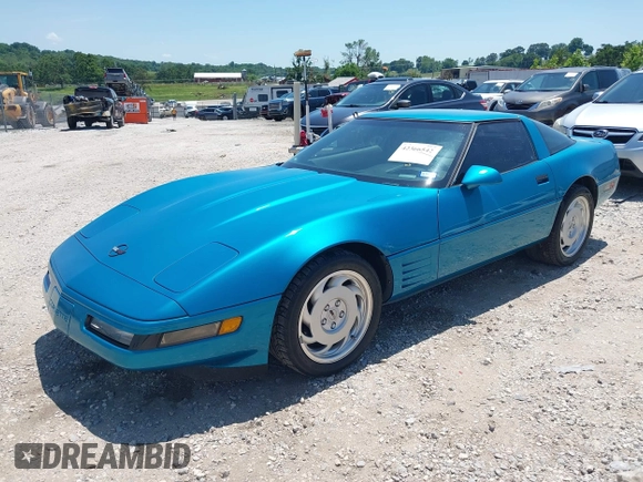 1992 Chevrolet Corvette z VIN 1G1YY23P6N5111770, wystawiony jako IAAI lot #42366542 z przebiegiem 39 505 mil mil oraz . Historia ofert i sprzedaży dostępna na DreamBid. Obrazek 2.