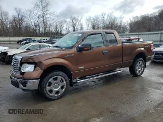 2011 Ford F-150 XL with VIN 1FTFX1ET7BKE14723, listed as a Copart auction lot 50583885 with 118,935 mi miles and Salvage Title. Bid and sale history available at DreamBid. Image 1.
