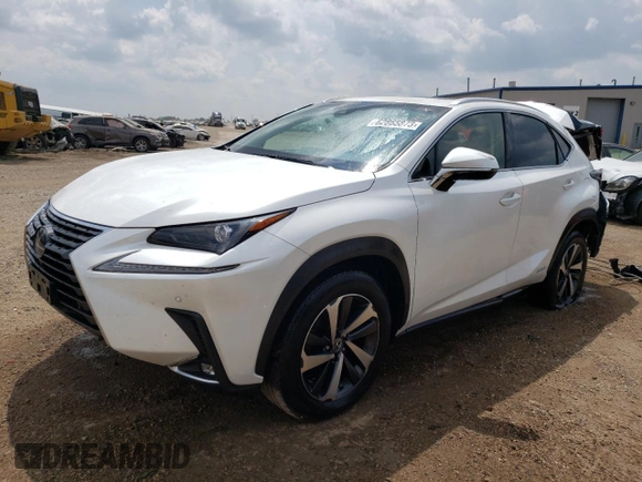 2019 Lexus NX 300h with VIN JTJBJRBZ0K2119208, listed as a Copart auction lot 62865873 with 111,723 mi miles and Salvage title. Bid and sale history available at DreamBid. Image 1.