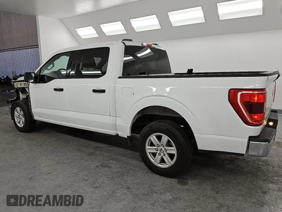 2023 Ford F-150 XL with VIN 1FTEW1CBXPKD88702, listed as a Copart auction lot 48817875 with 31,549 mi miles and Clean Title. Bid and sale history available at carsss.com. Image 2.