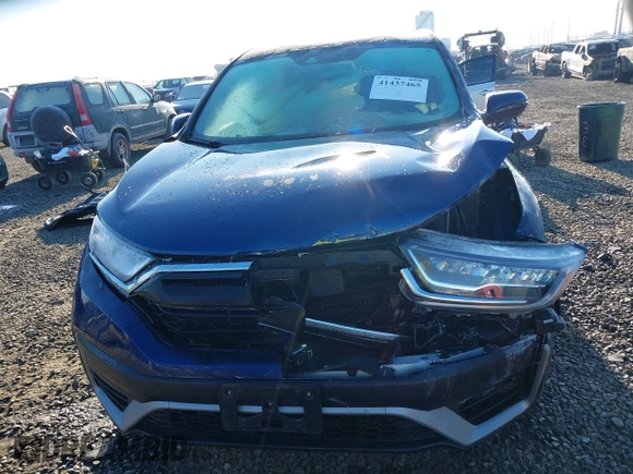 2022 Honda CR-V EX-L with VIN 5J6RT6H87NL053984, listed as a IAAI auction lot 41437465 with 8,040 mi miles and . Bid and sale history available at DreamBid. Image 12.