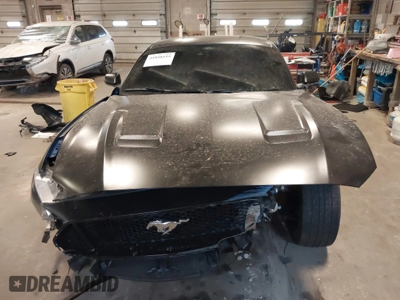 2023 Ford Mustang GT with VIN 1FA6P8CF8P5305334, listed as a IAAI auction lot 41858115 with 23,574 mi miles and . Bid and sale history available at DreamBid. Image 13.