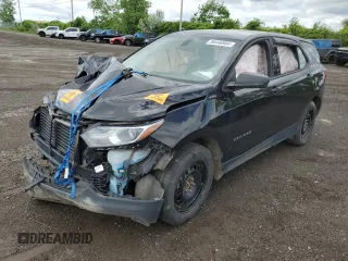 2019 Chevrolet Equinox LS with VIN 2GNAXSEV0K6166231, listed as a Copart auction lot 56446984 with Not Provided miles and Salvage Title. Bid and sale history available at DreamBid. Image 1.