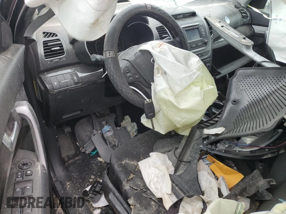 2014 Kia Sorento LX with VIN 5XYKT3A60EG436062, listed as a Copart auction lot 47010595 with 0 mi miles and Salvage Title. Bid and sale history available at carsss.com. Image 8.