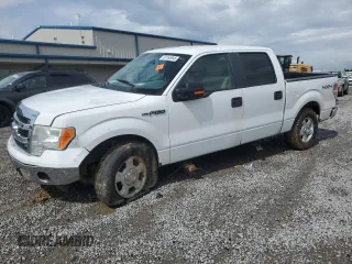 2013 Ford F-150 XL with VIN 1FTFW1EF7DKE89244, listed as a Copart auction lot 61155845 with 158,207 mi miles and Salvage title. Bid and sale history available at DreamBid. Image 1.