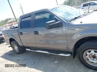2010 Ford F-150 XL with VIN 1FTEW1E87AFD69672, listed as a IAAI auction lot 42590920 with 117,126 mi miles and . Bid and sale history available at DreamBid. Image 13.