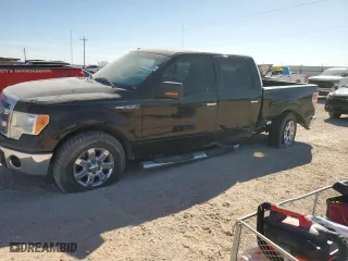 2013 Ford F-150 XL with VIN 1FTEW1CM0DKF13610, listed as a Copart auction lot 47131285 with 149,073 mi miles and Salvage Title. Bid and sale history available at carsss.com. Image 1.