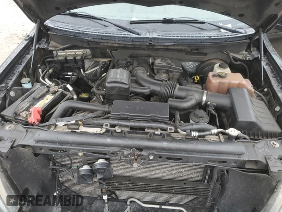2009 Ford F-150 XL with VIN 1FTPX14V59KB75125, listed as a Copart auction lot 86796804 with 211,874 mi miles and Salvage title. Bid and sale history available at DreamBid. Image 11.