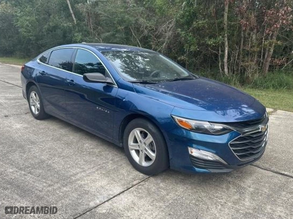2019 Chevrolet Malibu LS with VIN 1G1ZB5ST1KF191460, listed as a Copart auction lot 75107224 with 72,502 mi miles and Salvage Title. Bid and sale history available at carsss.com. Image 1.