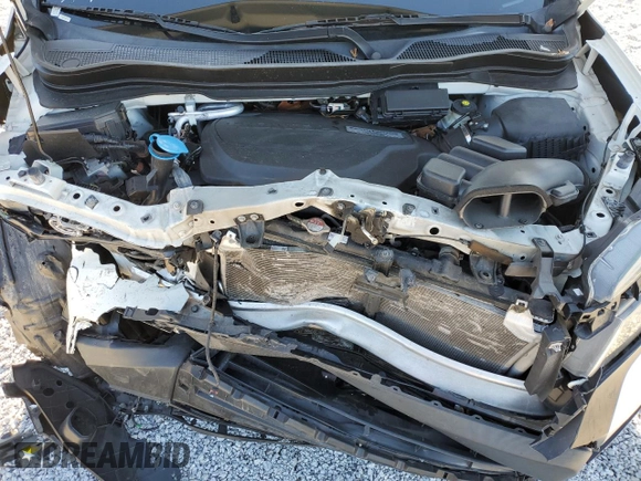 2019 Honda Passport Sport with VIN 5FNYF7H20KB004246, listed as a Copart auction lot 81797484 with 65,624 mi miles and Salvage Title. Bid and sale history available at carsss.com. Image 14.