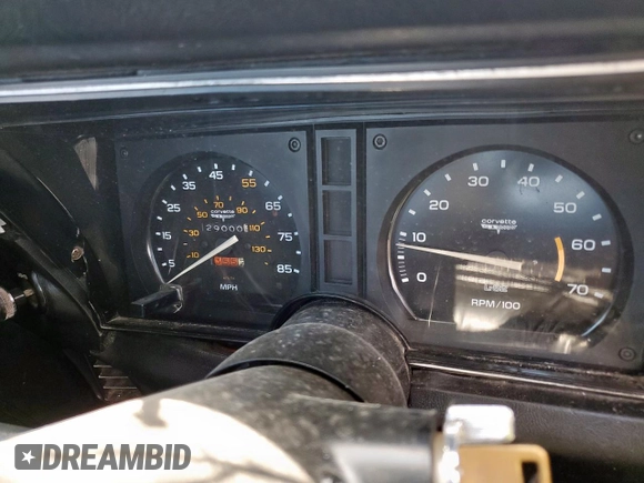 1979 Chevrolet Corvette with VIN 1Z8749S451738, listed as a Copart auction lot 59313215 with 29,000 mi miles and Salvage title. Bid and sale history available at DreamBid. Image 9.