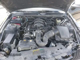 2006 Ford Mustang Standard with VIN 1ZVFT80N065182187, listed as a IAAI auction lot 42453637 with Not provided miles and . Bid and sale history available at DreamBid. Image 10.