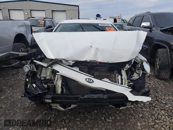 2015 Kia Cadenza Premium with VIN KNALN4D77F5168594, listed as a Copart auction lot 80890504 with 115,693 mi miles and Salvage Title. Bid and sale history available at carsss.com. Image 5.