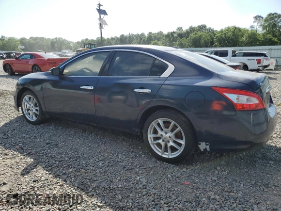 2009 Nissan Maxima SV with VIN 1N4AA51E09C857199, listed as a Copart auction lot 54757815 with 213,356 mi miles and Clean Title. Bid and sale history available at DreamBid. Image 2.