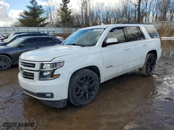 2019 Chevrolet Tahoe LT with VIN 1GNSKBKC8KR392219, listed as a Copart auction lot 46624295 with 132,660 mi miles and Clean Title. Bid and sale history available at carsss.com. Image 1.