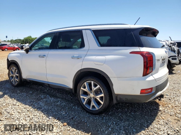 2020 Hyundai Palisade SEL with VIN KM8R34HE4LU110211, listed as a Copart auction lot 58011805 with 64,216 mi miles and Salvage title. Bid and sale history available at DreamBid. Image 2.