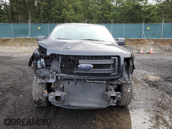 2013 Ford F-150 XL with VIN 1FTMF1EF1DKF32841, listed as a Copart auction lot 43436565 with 64,986 mi miles and Salvage Title. Bid and sale history available at DreamBid. Image 5.
