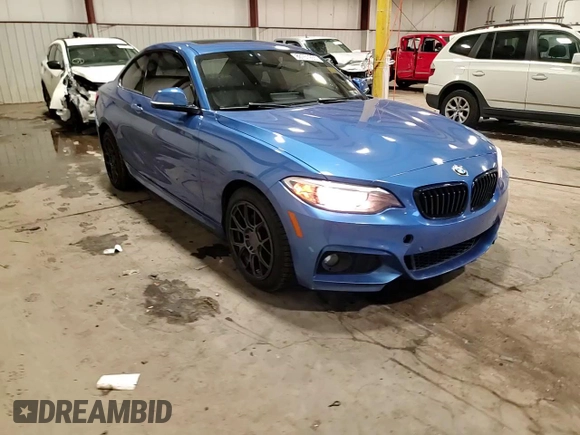 2017 BMW 2 Series 230i xDrive with VIN WBA2H9C32H7A25822, listed as a Copart auction lot 88751265 with 50,349 mi miles and Salvage Title. Bid and sale history available at carsss.com. Image 13.