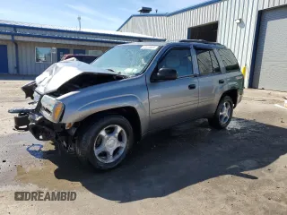 2008 Chevrolet TrailBlazer Fleet w/2FL with VIN 1GNDT13S282206634, listed as a Copart auction lot 53540685 with 106,508 mi miles and Salvage Title. Bid and sale history available at carsss.com. Image 1.