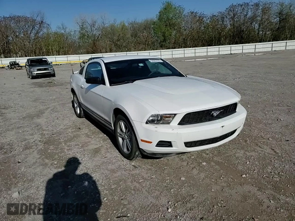 2010 Ford Mustang V6 with VIN 1ZVBP8ANXA5141446, listed as a Copart auction lot 52023755 with 96,093 mi miles and Salvage Title. Bid and sale history available at carsss.com. Image 11.