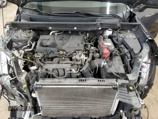 2019 Toyota RAV4 LE with VIN 2T3F1RFV6KW066131, listed as a Copart auction lot 49334365 with 112,002 mi miles and Salvage Title. Bid and sale history available at DreamBid. Image 12.