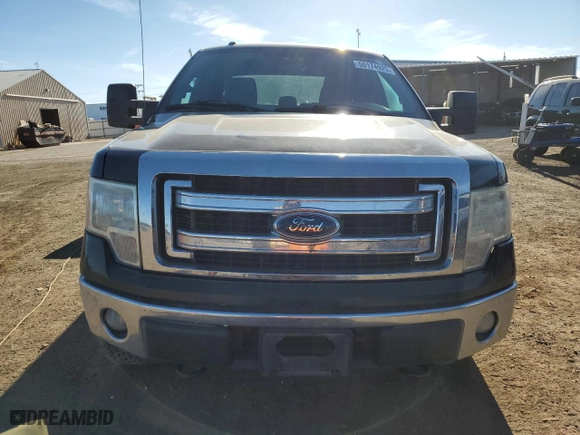 2014 Ford F-150 XL with VIN 1FTFX1EF3EKF61328, listed as a Copart auction lot 50174925 with 207,850 mi miles and Salvage Title. Bid and sale history available at carsss.com. Image 5.