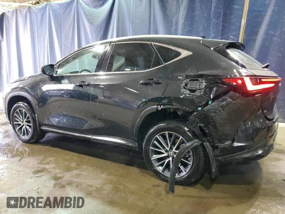 2023 Lexus NX with VIN 2T2AGCEZ9PC027881, listed as a Copart auction lot 84998954 with 13,547 mi miles and Clean Title. Bid and sale history available at carsss.com. Image 2.